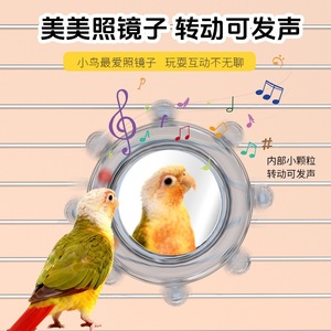 Roue tournante universelle pour oiseaux, jouet à mâcher en miroir PCABS pour perroquets, budgies, calopsittes, accessoires pour cage à oiseaux - Product Image 4