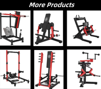Machine professionnelle réglable pour l'hyperextension des fessiers et des muscles du bas du dos, idéale pour l'entraînement des jambes, des fessiers et du tronc.