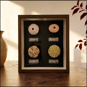 Lampe <span class=keywords><strong>de</strong></span> nuit Épine <span class=keywords><strong>de</strong></span> mer très populaire, objet <span class=keywords><strong>de</strong></span> <span class=keywords><strong>collection</strong></span> décoratif, forme carrée, chargement USB Type A, pièce <span class=keywords><strong>de</strong></span> <span class=keywords><strong>collection</strong></span> incontournable - Product Image 2