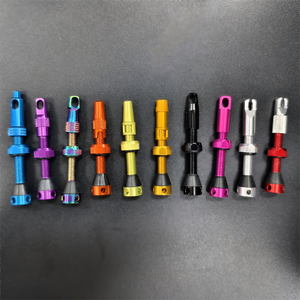 Vástago de válvula sin cámara Premium de aluminio 7075, tapas de extracción de núcleo de válvula de radio <span class=keywords><strong>Mtb</strong></span> para bicicleta de montaña, carretera y bicicleta de grava - Product Image 1