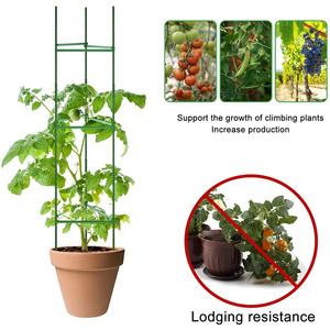 Cage à tomate en métal haute qualité, piquets de Support de jardin <span class=keywords><strong>pour</strong></span> plantes <span class=keywords><strong>grimpantes</strong></span>, nattes de jardin d'extérieur, <span class=keywords><strong>pour</strong></span> légumes, Fruits, <span class=keywords><strong>fleurs</strong></span> - Product Image 4