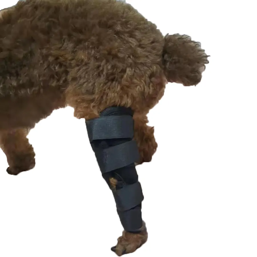 Venda quente Recuperação protetor de espuma perna do cão manga Joelho Brace Neoprene Dog Leg Brace para as pernas traseiras