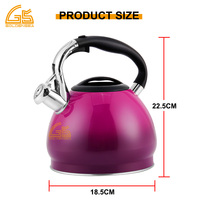 Bouilloire à thé en acier inoxydable à fond à induction pour cuisinière à gaz chinoise, bouilloire sifflante avec revêtement coloré