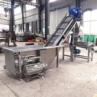 Complete Turnkey Project Sapverwerkingsmachine Sinaasappelsap Productielijn