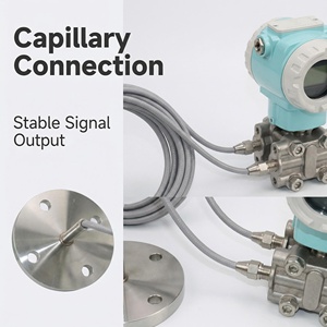 Doppelflansch-Differenzdruck-Füllstandsensor für Flüssigkeiten/Gase IP66/67 Zertifiziert 4-20mA/HART Ausgang <span class=keywords><strong>DP</strong></span>-Füllstandsensor 1 Jahr Garantie - Product Image 5