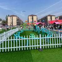 Mini Montagnes Russes Manuelles à Pédales pour Enfants – Construction Métal et Bois, Utilisation Intérieure/Extérieure – Amusement Abordable et Sans Moteur
