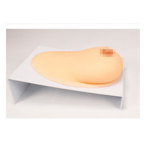 Science médicale Silicone Massage du sein et modèle d'allaitement pour la période d'allaitement - Product Image 5