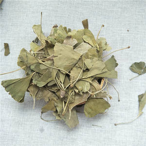 بالجملة اوراق جينكو العضوية اوراق جينكو الجافة بالشاي العشبي - Product Image 5
