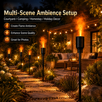 Lampe à flamme LED portable, lampe à brouillard électrique 3D, lumière atomisante pour mariage, fête, scène, événement, décoration extérieure