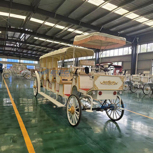 Carruaje de Caballos Eléctrico de Lujo para Turismo Victoriano, 4+1 Filas, para Parques Ecuestres, Precio de Fábrica - Product Image 3