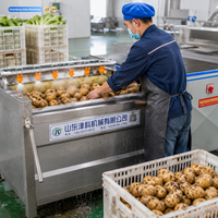 Machine à laver les pommes de terre à rouleaux brossés automatiques, équipement de nettoyage des légumes-racines, machines de transformation alimentaire