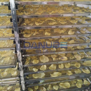 Nouvelle Ligne de Production pour le Nettoyage, la Découpe et le Séchage des Pommes de Terre, Chambre de Séchage à Pompe à Chaleur pour Tranches de Pommes de Terre - Product Image 5