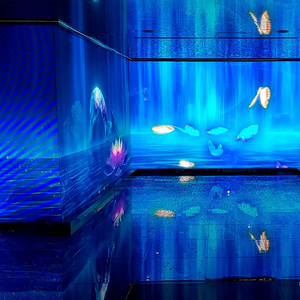 Đầy đủ màu sắc dẫn Màn hình hiển thị ba chiều vô hình trong suốt p3.91 Holographic vô hình dẫn màn hình - Product Image 3