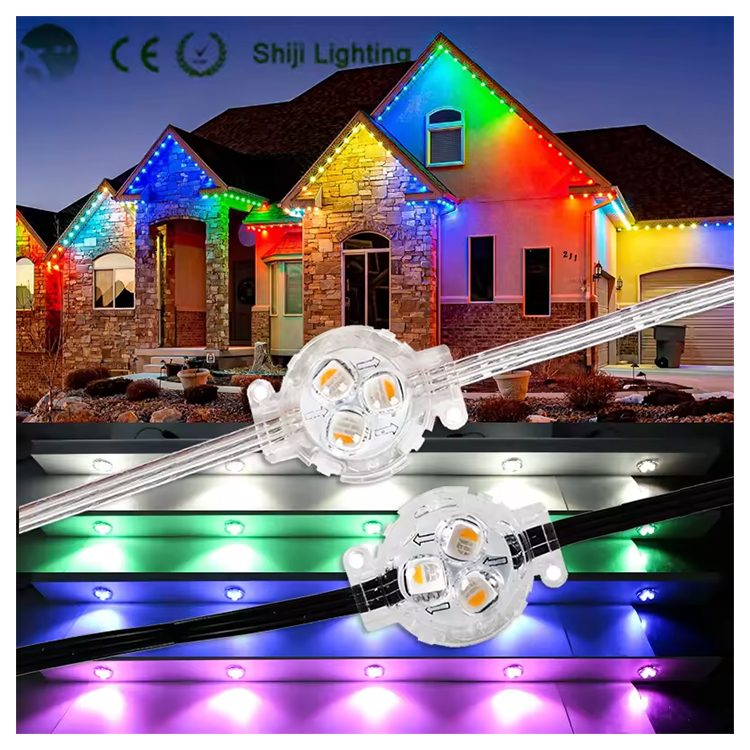 Shiji WS2818 RGB Permanent Christmas Lights String 30mm IP67 Outdoor Waterproof LED Pixel Point Ligh