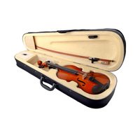 Wholesale Stringed Instruments Low Price Professional 4/4 Violin with Hard Case Rosin and Bow