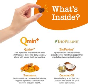 Suplementos para el cuidado de la salud de mascotas curcumina cúrcuma al por mayor, tabletas de cúrcuma pura para perros y gatos, comida para mascotas - Product Image 3
