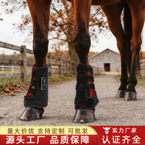 Appareil de thérapie par lumière rouge pour les jambes des chevaux, 810 nm infrarouge, attelle de récupération musculaire avec écran numérique pour les soins équins - Product Image 4