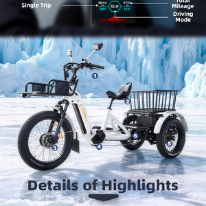 <span class=keywords><strong>Tricycle</strong></span> <span class=keywords><strong>électrique</strong></span> SOBOWO Polar Bear, 3 vitesses, pneus <span class=keywords><strong>tout</strong></span>-<span class=keywords><strong>terrain</strong></span>, <span class=keywords><strong>tricycle</strong></span> <span class=keywords><strong>adulte</strong></span> - Product Image 4