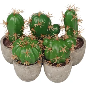 Künstliche Sukkulenten Pflanzen Kaktus Topf in Zellstoff Topf Set mit 5 kleinen Kaktus pflanzen für Home Office Dekoration