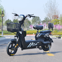 Le Vélo Électrique Tout-Terrain Adulte le Moins Cher avec Batterie Cube, Moteur Brushless, pour Ville, Cargo et Montagne - Kit Vélo Électrique 2026