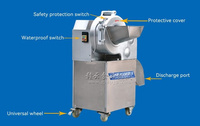 130 Type aardappel-, fruit- en groentesnijmachine met motor voor voedselverwerkingsapparatuur en fruitverwerkingsbedrijven