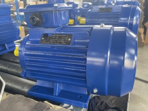 มอเตอร์ GEXIN ML-90L-2 2.2 กิโลวัตต์ 3 แรงม้า 2830 รอบต่อนาที 220 โวลต์ เฟสเดียว AC แบบอะซิงโครนัส  พร้อมคาปาซิเตอร์คู่แบบกำหนดเอง  ตัวเรือนอะลูมิเนียม IE3 - Product Image 4