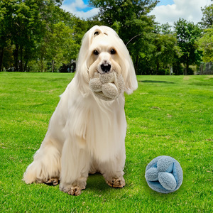 Servicio OEM al <span class=keywords><strong>por</strong></span> mayor de China: Pelota interactiva para perros con sonido, juguete de felpa dispensador de premios para explorar y buscar. - Product Image 2