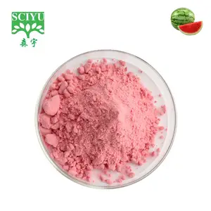 Spray Dried soluble Watermelon Fruit juice Powder watermelon extract powder