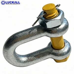 <span class=keywords><strong>Manille</strong></span> de levage G2150 Dee Shackle (acier allié forgé) certifiée ISO 9001, en acier allié galvanisé, avec goupille de sécurité, pour les États-Unis Type - Product Image 6