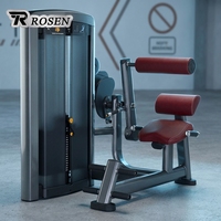 ROSEN Fitness Appareil Commercial d'Extension Dorsale en Acier - Équipement d'Exercice Multifonctionnel pour le Corps Entier avec Fonctionnalités Réglables