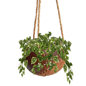 Maceta de Bambú Natural Eco2go, Éxito de Ventas 2026, Tendencia en Macetas Colgantes para Hogar y Suelo con Cuerda, Hecha en Vietnam, Ecológica - Product Image 1