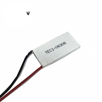 Modul Pendingin Semikonduktor Persegi Panjang TEC1-6308 Peltier 6v 8a 20*40mm 06308 untuk Peralatan Kecantikan
