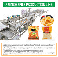 50-20000 kg/h Chips de pommes de terre industrielles personnalisables Frites surgelées Prix de la machine Ligne de production de frites