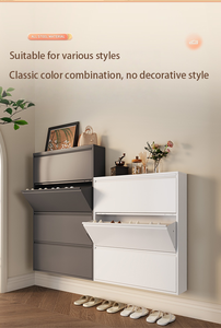 Grandi Appartamenti Alberghieri con Struttura in Acciaio nel Nord Europa, Dotati di Armadi Portascarpe in Grigio Scuro, a Due Livelli. - Product Image 3