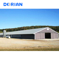 Hangars pour poulets de chair modernes Kit de poulaillers Préfabriqués en acier à plusieurs niveaux pour la volaille