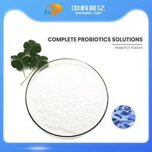 El polvo probiótico de calidad alimentaria altamente activo promueve la salud intestinal Lactobacillus rhamnosus - Product Image 2