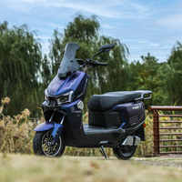 Sepeda Skuter Listrik 1000W untuk Dewasa Baterai Li-ion 60v20ah