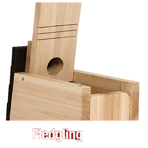 Fotocamera per Nidi di Uccelli in Legno Ecologica per Uso Esterno - Product Image 6