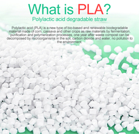 Pailles à boire jetables Lanke PLA, emballées individuellement, sans goût plastique, logo/impression personnalisable, forme ronde