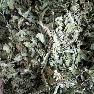 Nouvelle feuille de menthe japonaise crue séchée Sakhalin feuilles de menthe thé à vendre - Product Image 2