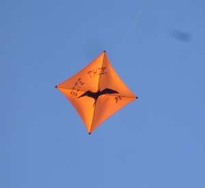 Fishing Kite from Weifang kaixuan kite factory