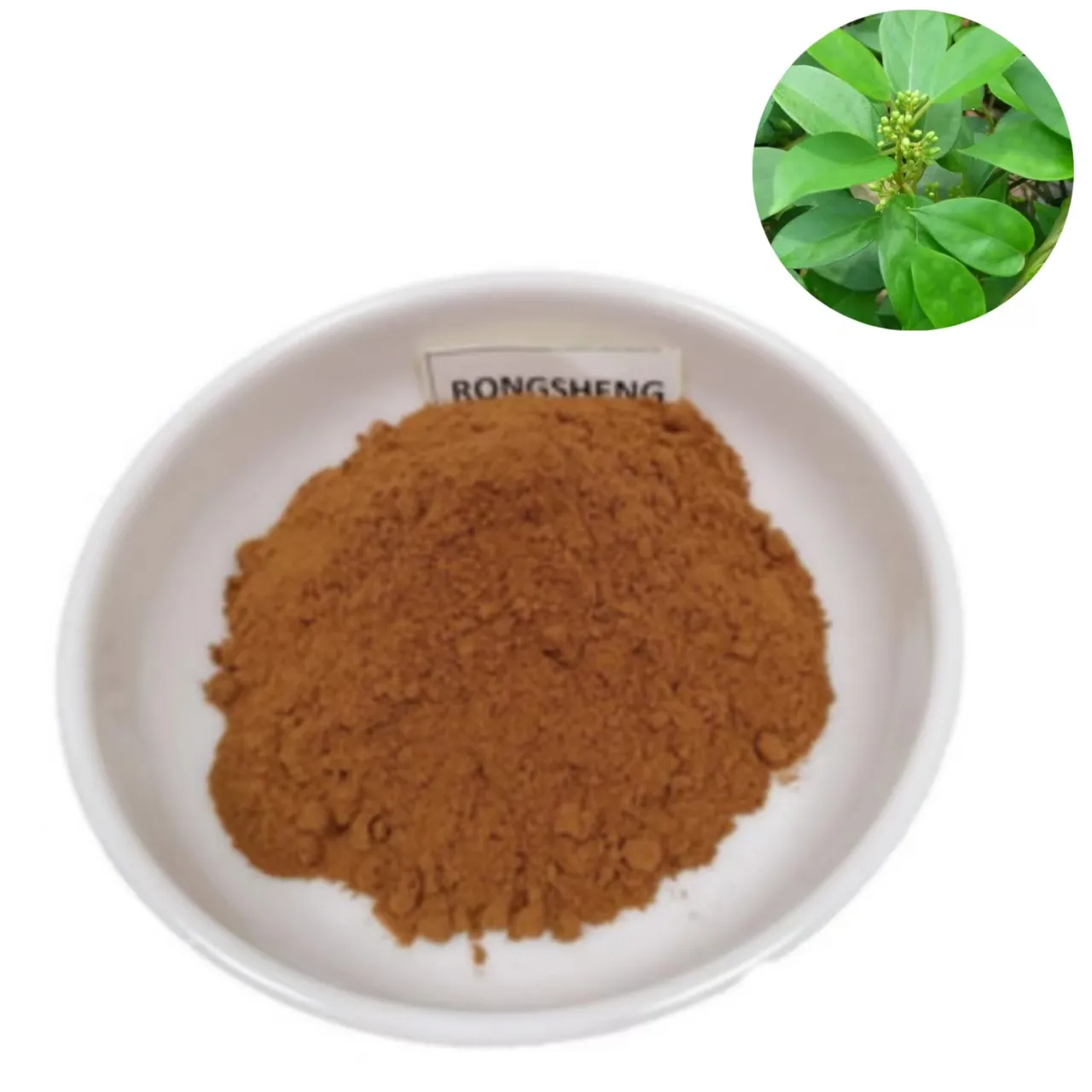 Buy Best Price Private Labels Folic Acid Supplement Organic Gurmar Plant Leaves Dry Gymnema Sylvestre Leaf Extract Powder