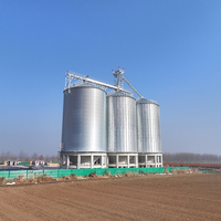 Grande grange 3000 tonnes de réservoir de fond de trémie de stockage de grain de blé d'entrepôt d'isolation en acier galvanisé