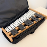 Hot-selling Exquisite Xylophone Black-and-white Practical 27 Tone Glockenspiel