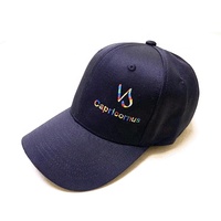 Chapeaux de sport de marque privée sur mesure Casquette de baseball en coton avec logo brodé en gros