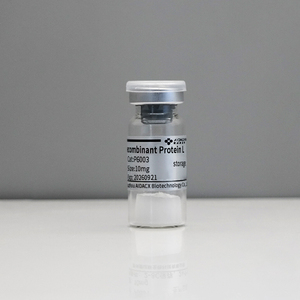 Proteina ad alta affinità L proteina ricombinante L polvere liofilizzata - Product Image 5