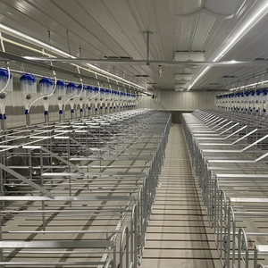 Venta de fábrica Jaula para cerdas Puesto de gestación porcina de China Nueva condición para la cría de cerdos - Product Image 1