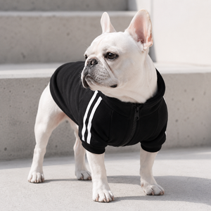 Abrigo de invierno de lujo para perros con cremallera personalizada, estilo vaquero a cuadros, talla pequeña, diseño de diseñador, estilo lindo - Product Image 2