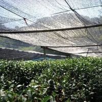 Filet d'ombrage anti-UV en HDPE pour l'agriculture et la culture des légumes, protection solaire personnalisée pour usage extérieur en jardin