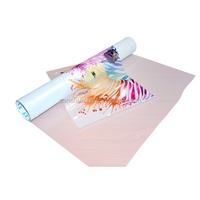 Eco Solvent Selbst klebende abnehmbare transparente klare PVC-Inkjet-bedruckbare Vinyl folie für Glasfenster schild, Dekoration